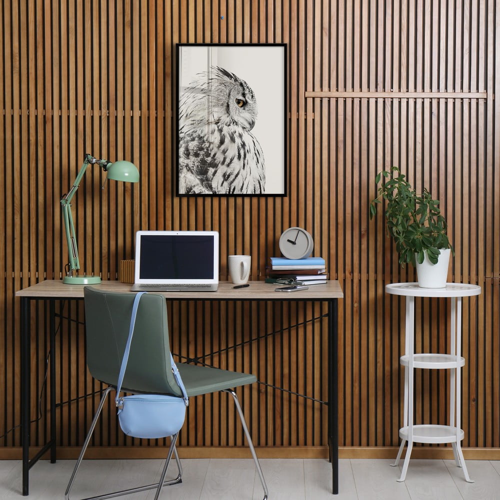 Obraz 50x70 cm Owl – Styler