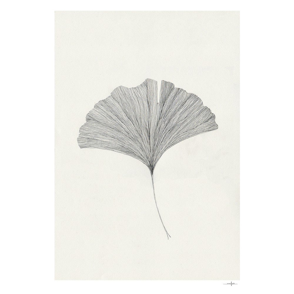 Plagát 50x70 cm Ginkgo Leaf – Ana Frois – The Poster Club