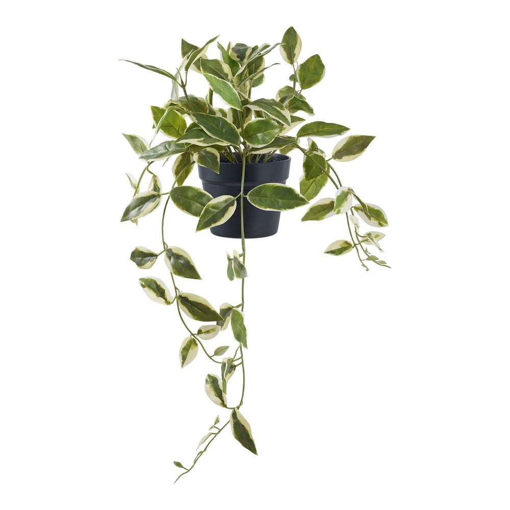 Umelá rastlina (výška 33 cm) Hoya Carnosa – House Nordic