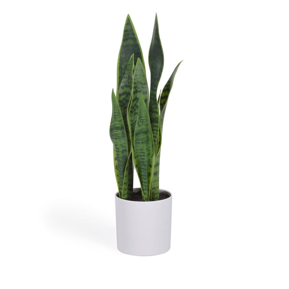 Umelá rastlina (výška 55 cm) Sansevieria – Kave Home