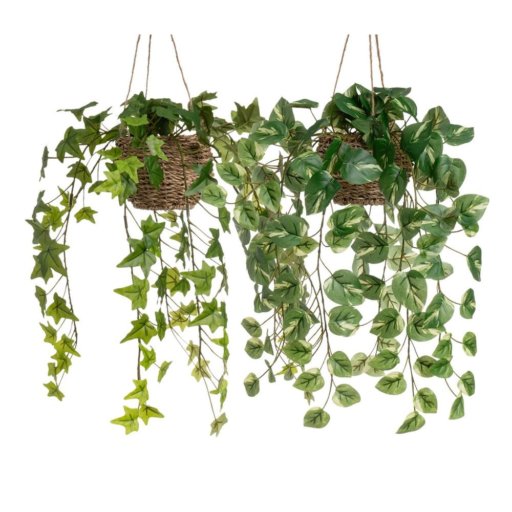 Umelé rastliny v súprave 2 ks (výška 50 cm) – Casa Selección