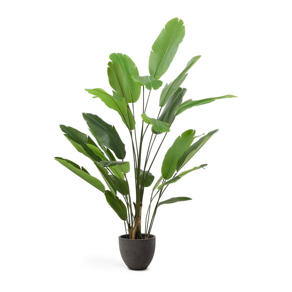 Umelý banánovník (výška 210 cm) – Kave Home