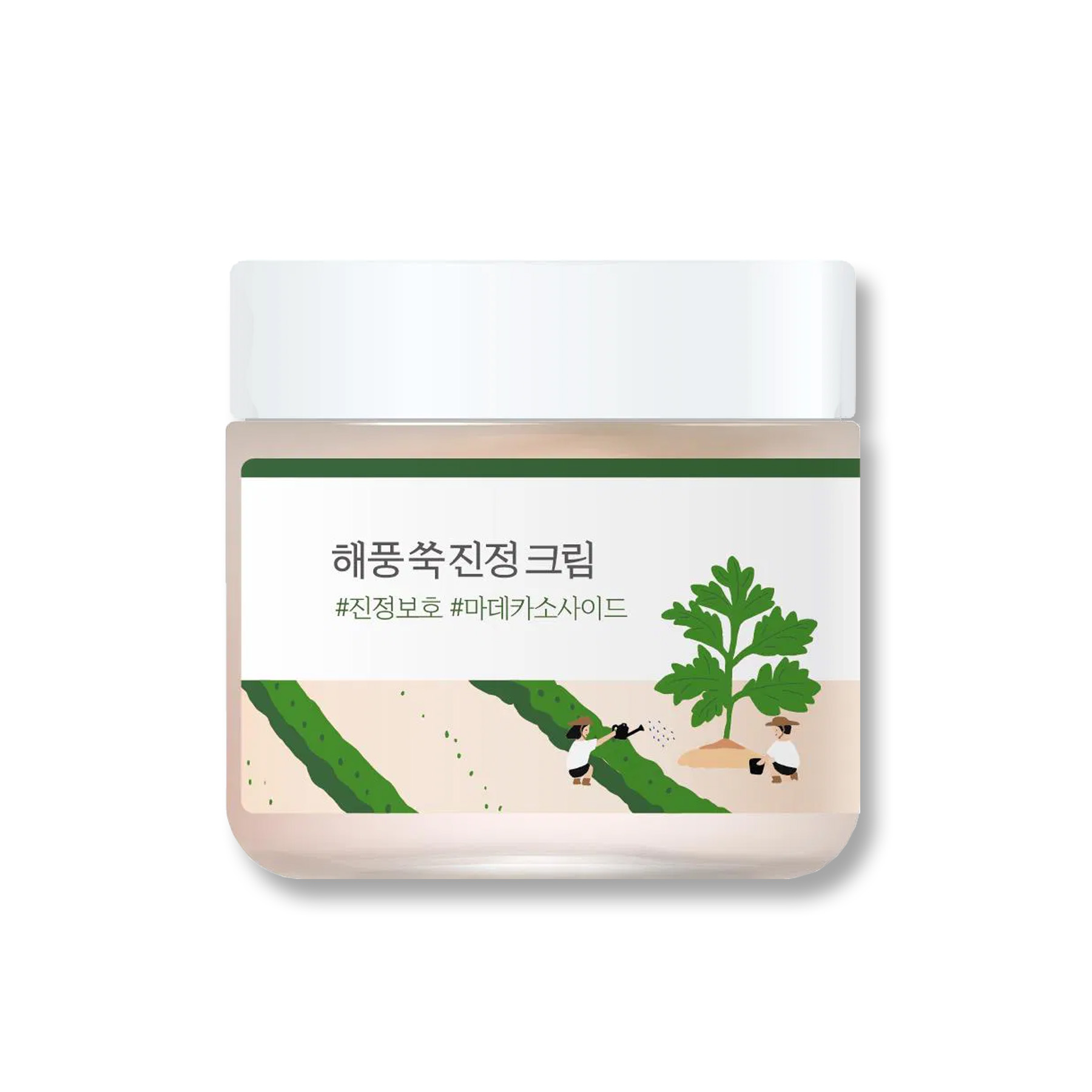 ROUND LAB Mugwort Calming Cream