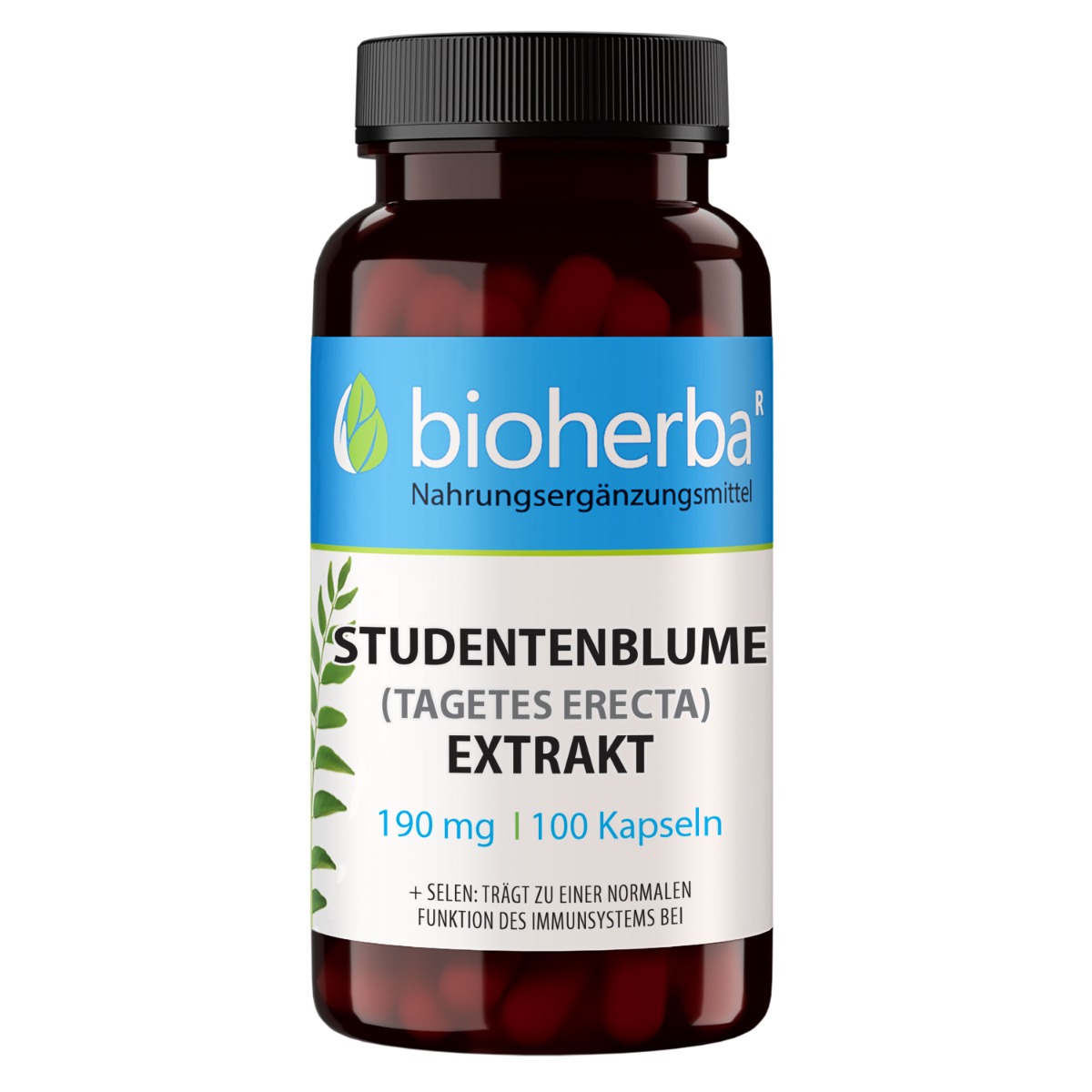 Aksamietnica extrakt 190 mg – 100 kapsúl – Bioherba