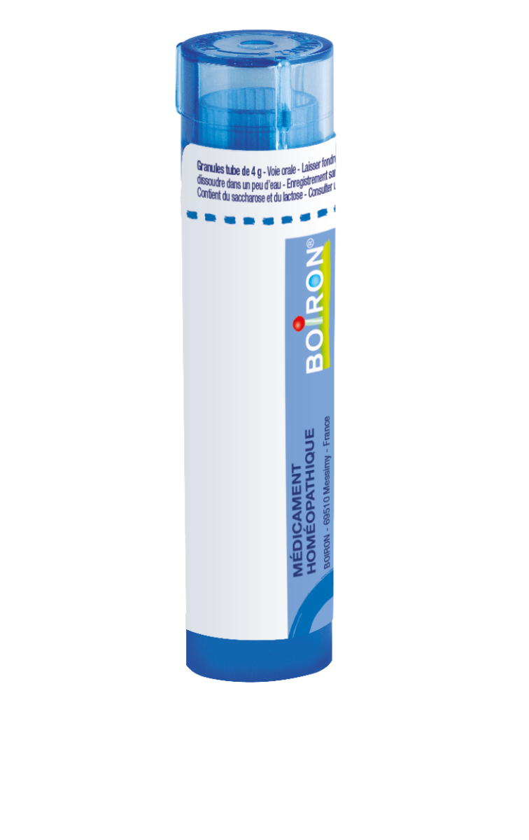 ARNICA MONTANA CH9 1x4 g