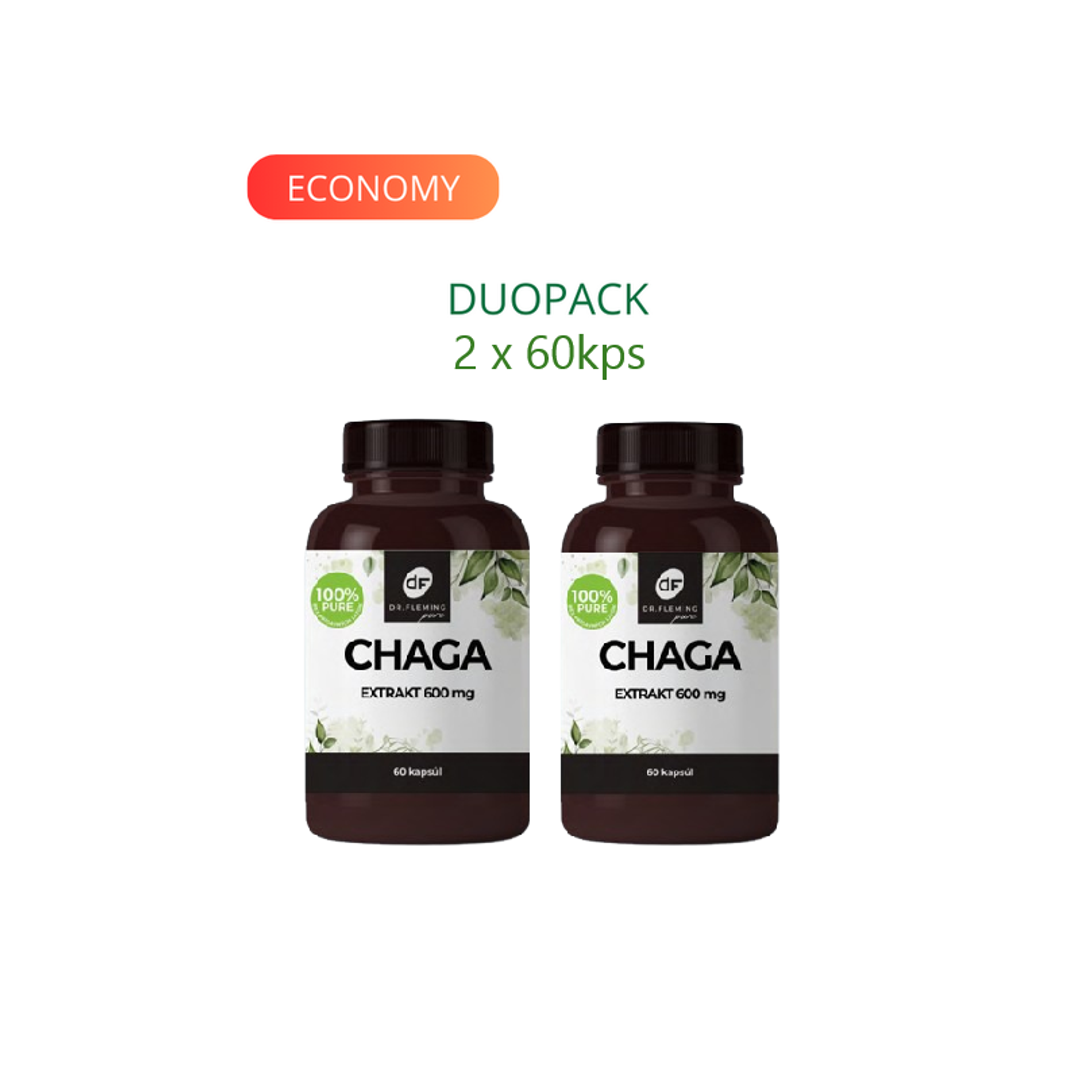 DR. FLEMING Chaga extrakt 600 mg 40% 120ks DUOPACK