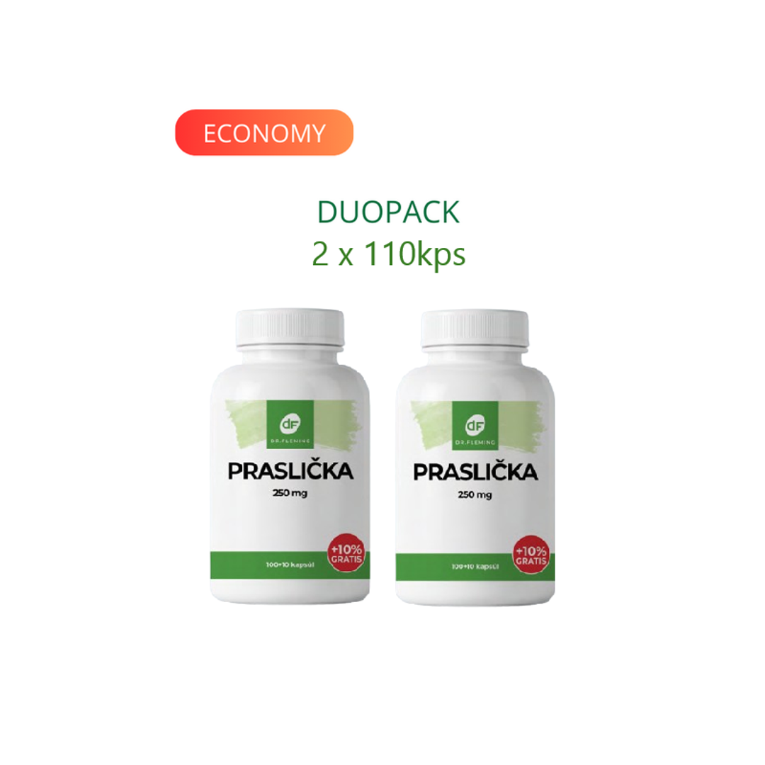 DR. FLEMING Praslička 250mg +10% grátis 220ks DUOPACK