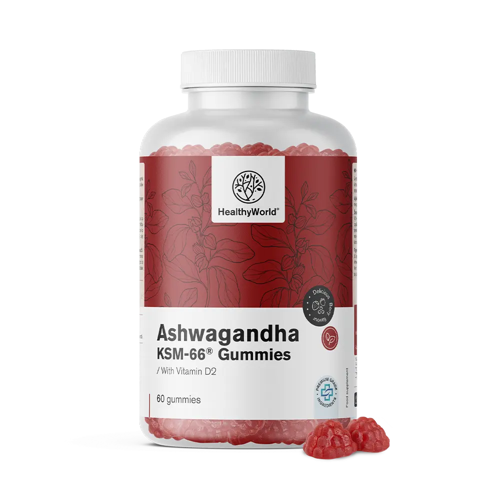 HEALTHY WORLD Ashwagandha KSM-66 300 mg