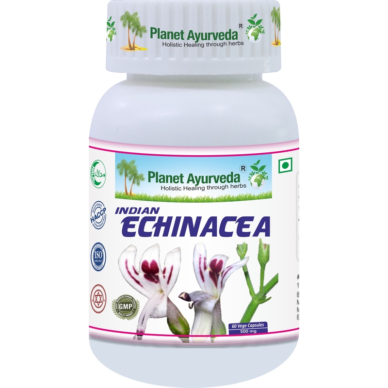 Indická Echinacea Kapsuly - Imunita