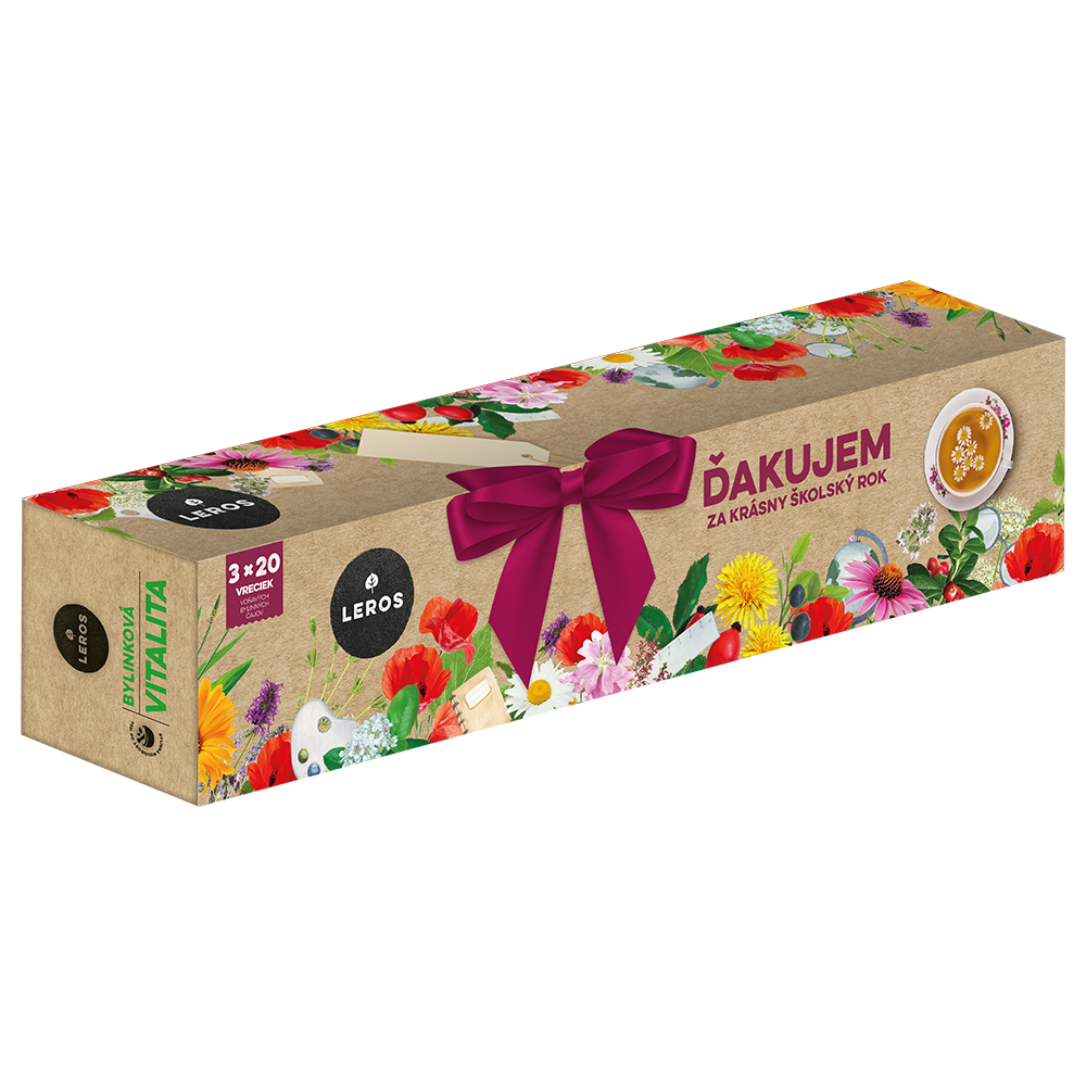 LEROS ĎAKUJEM ZA KRÁSNY ŠKOLSKÝ ROK