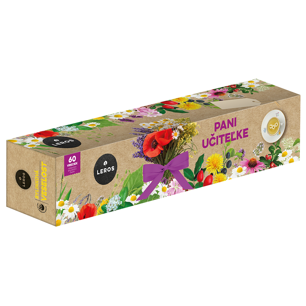 LEROS PANI UČITEĽKE