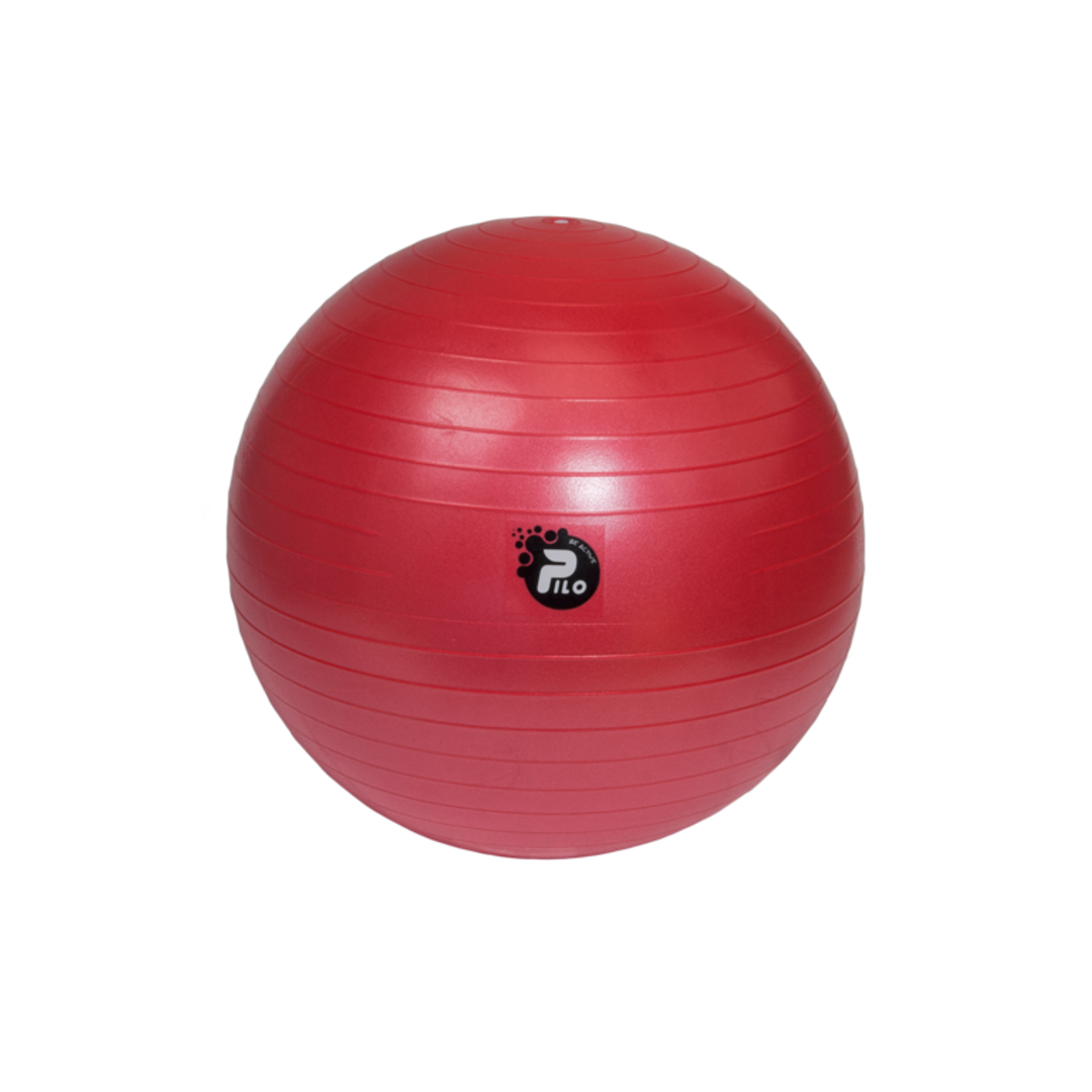 REHAFUND PILO-1055 rehabilitačná lopta 55cm ABS