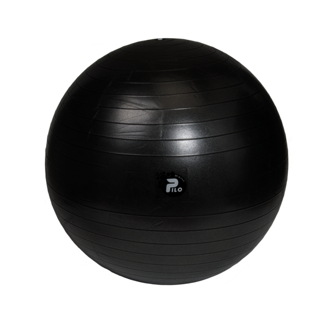 REHAFUND PILO-1075 rehabilitačná lopta 75cm ABS