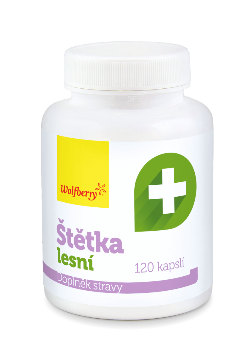 Wolfberry Štetka lesná