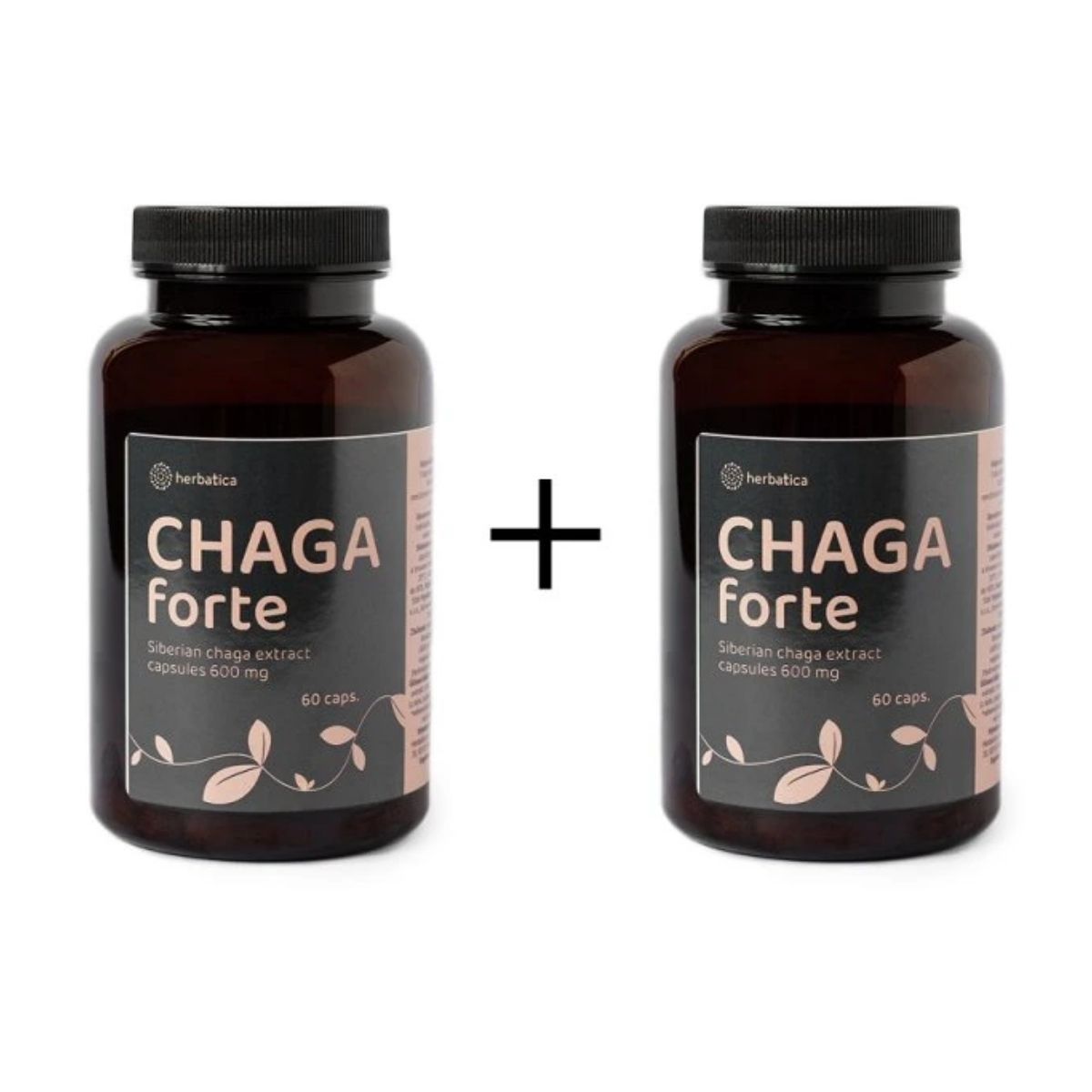Zvýhodnený set: 2 x Čaga sibírska FORTE - 60 vegánskych kapsúl (600mg/ kapsula) - Herbatica