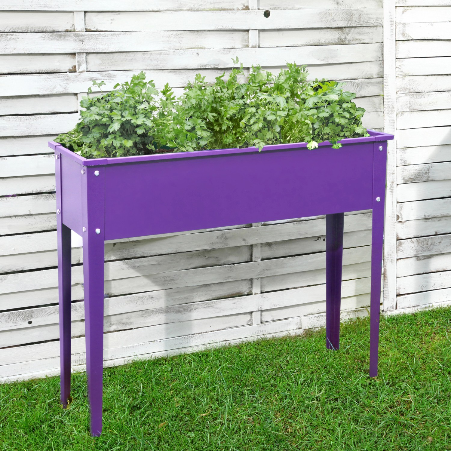 Floraworld Vyvýšený záhon Season purpurový 100 x 30 x 80 cm