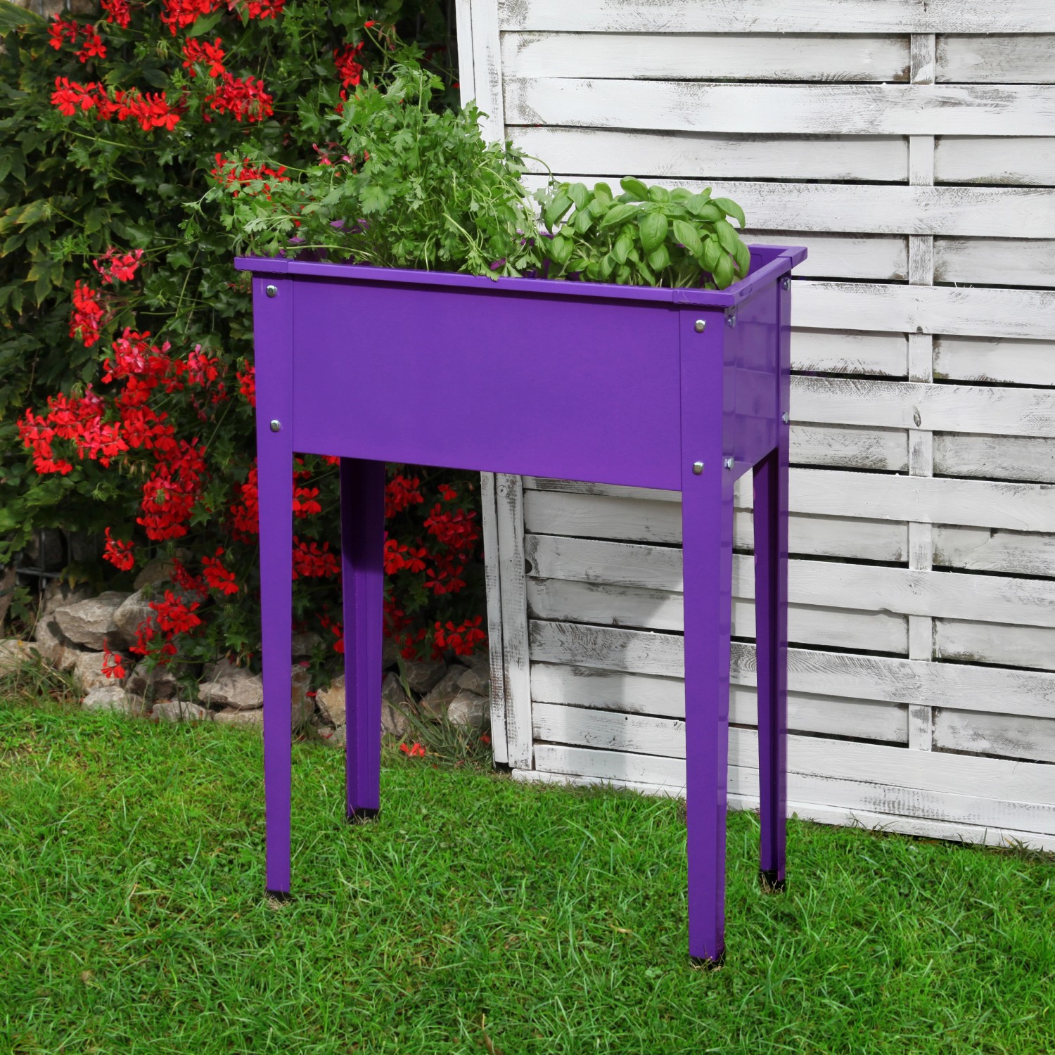 Floraworld Vyvýšený záhon Season purpurový 60 x 30 x 80 cm